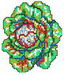 cabbage04 ad