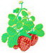 Strawberries 2