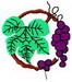 grapes11