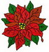 Red Poinsettia