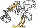 storch1