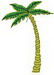 Palmtree