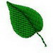 Leaf30m