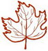MLeafAp