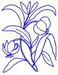 blumeumriss11