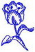 tulpeumriss01