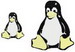 tux 03