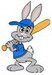 Baseball Bunny 1