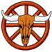 Steer