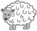 Sheep_application1