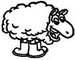 Sheep225