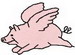 Flying Pig