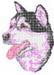 D31malamute