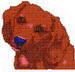 Dachshund Miniature Sm