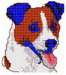 Terrier Jackrussell Sm