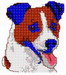 Terrier Jackrussell