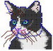 Blackwhitecat