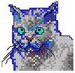 Blueshorthair