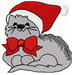 Paw_xmascat