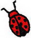 Lady Bug