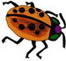 Ladybeetle