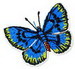 Butterfly 25