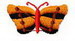 Butterfly 6