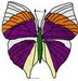 Butterfly 67