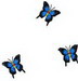 3butterflies