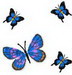 4butterflies