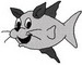 Catfish1