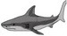 Shark1