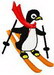 Penguin Skiing