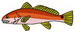 Redfish
