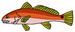 Redfish