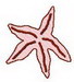 B_starfish