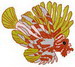 Lionfish