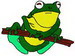 Bills Frog2