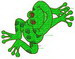 Frog 11