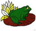 Frog On Lilypad