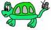 Jo-Turtle