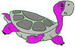 Turtle 1