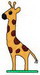 Giraffe 2