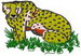 Medcheeta