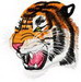 Tige159r