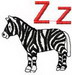zebra180