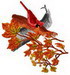 CardinalAutumn