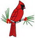 Wintercardinal