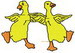 Dancingducks