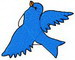 Blue Bird 3